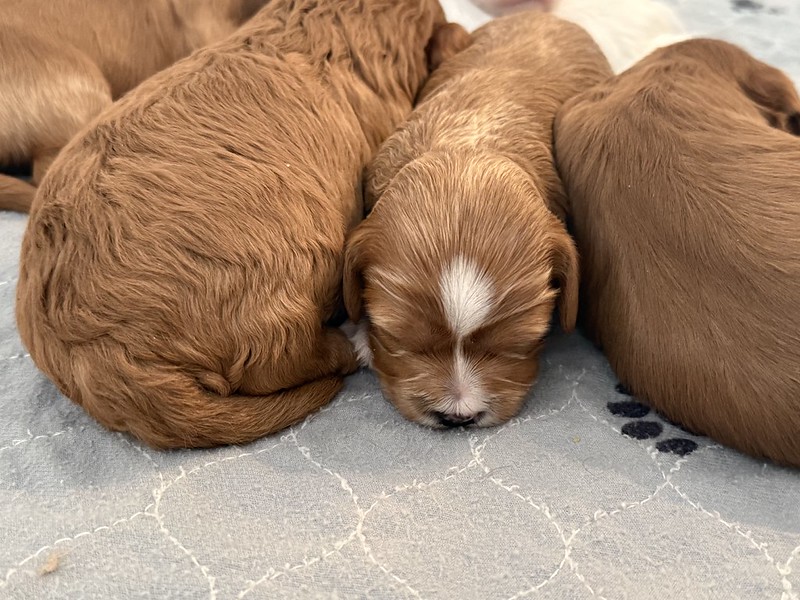 55116327605_b91188523f_c